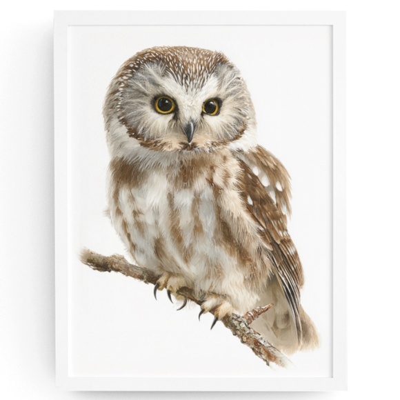 Creative Path Studios Other - Watercolor Boreal Owl Portrait Wall Art Print Poster, Unframed - Charming